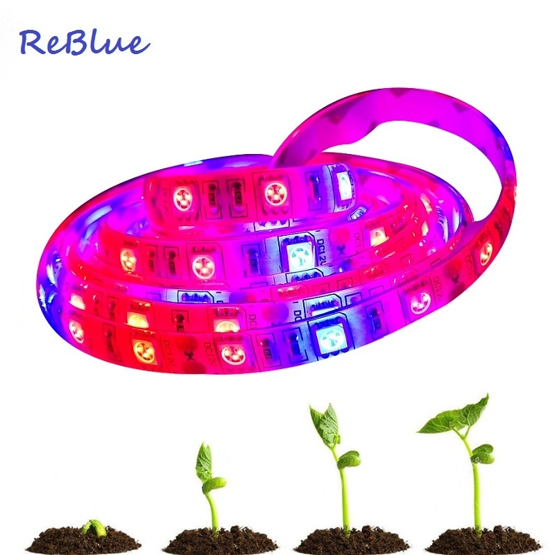 ReBlue Ĺ  LED ,   , Ĺ , 660nm 450nm SMD 5050  Ʈ, ½  , 12V